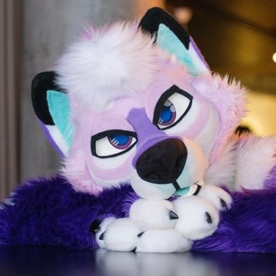 🦋@vibeshibe.shibabox.euさんのプロフィール画像