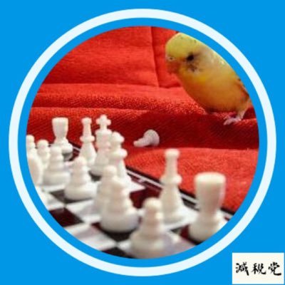 12v100v's profile picture. さとうさおり 公認会計士 東京都議（やちよの会・減税党党首） 支援、全ては日本の為に。【X】@satosaori46 【YouTube】https://t.co/SgrJVmxjht 【都議会LIVE】https://t.co/CIoYlFrKFE DM❌