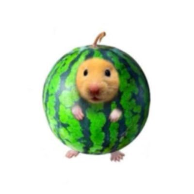 z086766's profile picture. 