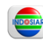 Indosiar TV title=