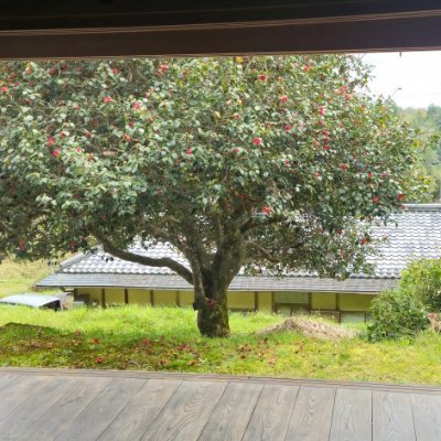 hiroki_d_kurt's profile picture. あなたの暮らしを見つめてる   ＭＹ ＦＲＩＥＮＤ