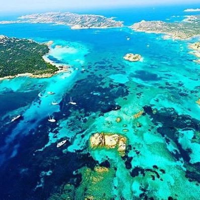 CurreliTrade's profile picture. Materia umana