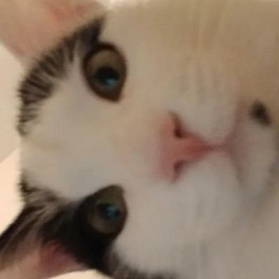 genesis_rodree's profile picture. holiiis🤍