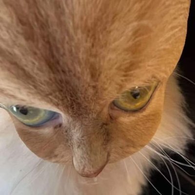 raz_okay's profile picture. aaaaaaaaaaaaaaaaaaaaaaaaa