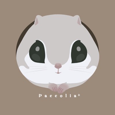 paccolia -ﾊﾟｯｺﾘｱ-さんのプロフィール画像