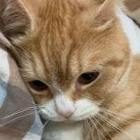 เพว. (@pewpewnc) 's Twitter Profile