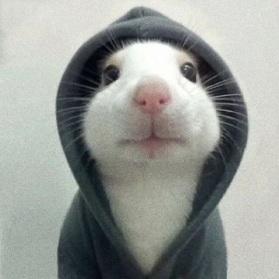 SargentoWoody's profile picture. 