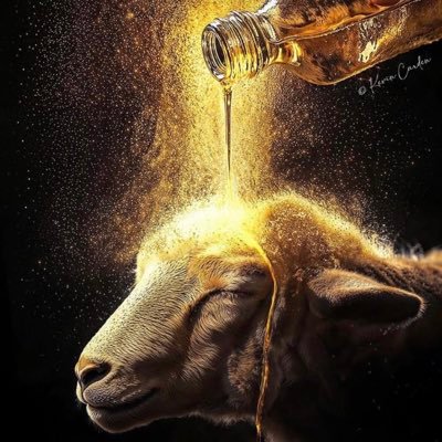 investor_mudia's profile picture. Online marketing and E-commerce 
Logistics and delivery services 
ASAP AUTOS, Dealer on all type luxury cars and car accessories 
Dollars Exchange