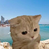 IMABRET (pas cancer du tout ππ) (@imabret) 's Twitter Profile