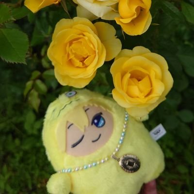 ちょろる🧊🤡さんのプロフィール画像