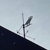 映画美学校ドキュメンタリー・ワークショップ (@dws2025_05_10) 's Twitter Profile