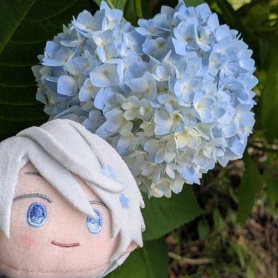 眠すぎはむのりさんのプロフィール画像