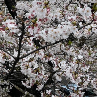 なももさんのプロフィール画像