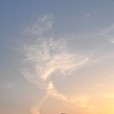 y_komorebi_Ao's profile picture. 