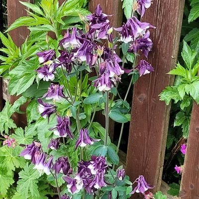 PKinderzukunft's profile picture. 