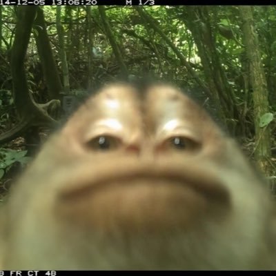 cxxrl00's profile picture. no one.