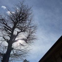 mzskankai (@mzskankai) 's Twitter Profile