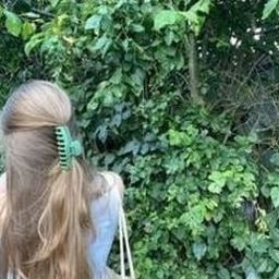 Qiljouq915264's profile picture. Minimal words. Maximal thoughts.