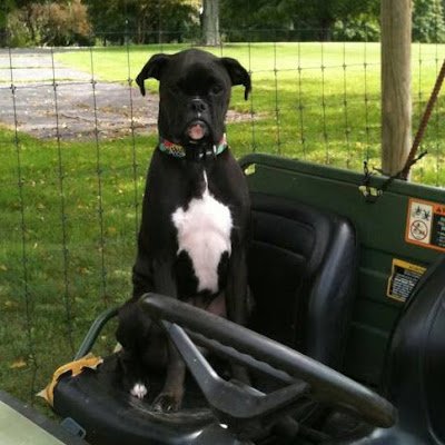 dtrain8604's profile picture. 