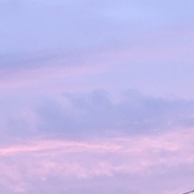 あち、らんぽぽ。