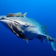 drew_byr's profile picture. UI Designer Crafting polished and visually appealing interfaces #MobileUI