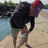 Jeff Culler (@jeffcu11er) 's Twitter Profile