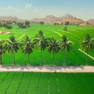 jammulaaManoj's profile picture. 