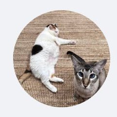 William85425's profile picture. 