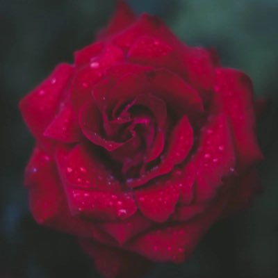 XhI8mu58vv79050's profile picture. るっきー🌹をこよなく愛し、生涯推し！ 君が来てくれていなければ 俺は この世界に残る事は無かったろう 研修生で初めて出会ってから、俺は 君に愛に行ける幸せを掴んだよ。 毎日が幸せで楽しい毎日を過ごして いく事が出来るのは全て君のおかげなんだよ いつも可愛い笑顔をありがと