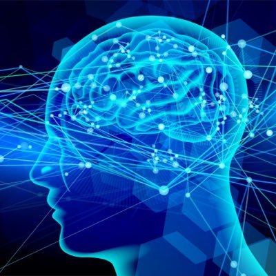 A I学習中🔰/ AIを使ったライティングや副業に挑戦中✍️ Xでは学びやアウトプットをゆるっと記録していきます🌱 #AI初心者さんと繋がりたい