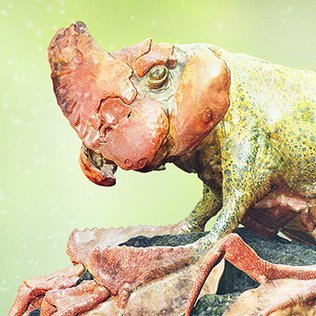 carlosgarciari's profile picture. 