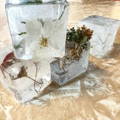 winter00_winter's profile picture. 낭만.청춘.영원을 노래하는 엔플라잉 좋음