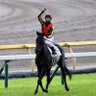 k_5tekeiba's profile picture. 大学対抗POG21-22ドウデュース指名🥇24-25クロワデュノール指名🥇競馬好きの大学生が集まっとります だる絡みは伝統芸