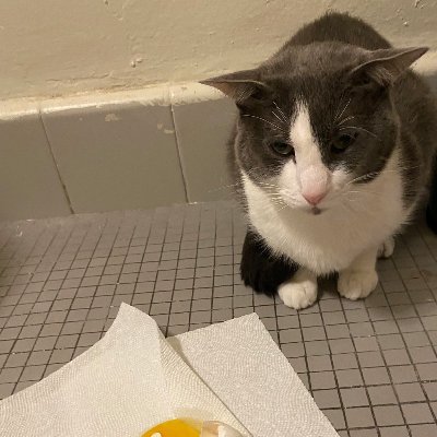 evelyn (DNI SH/EDTWT) Profile
