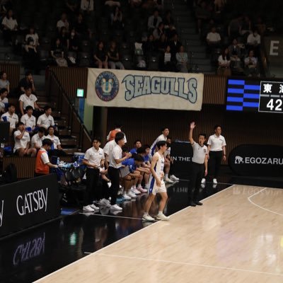 Akigon19's profile picture. Seagulls