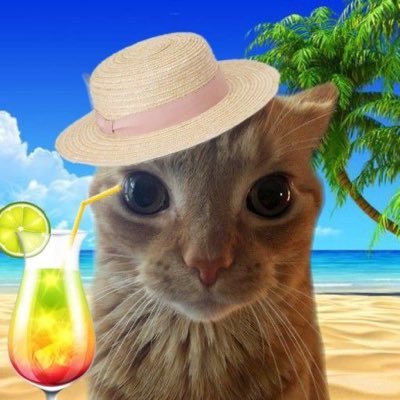honglive's profile picture. 