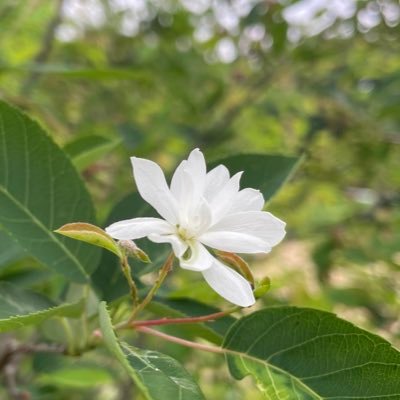 心穏やかにJO1を応援してます📣時には情熱的に時には冷静にゆっくり楽しんでます😊