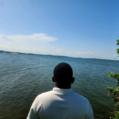 bingiboy's profile picture. Building Great Things ⚡