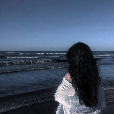 الكتب قد لا تشتري لك بيتاً، لا تنقذك من التشرد في الشوارع، لكنها تعطيك عقلاً، وسفراً مجانياً، والكثير من القصور.