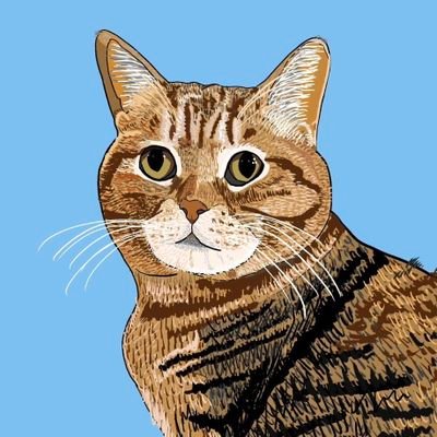 ★人生何が起きるかわからないからオモシロイ
★変化を楽しまないと損をする
かもね
★人のふり見て我がふり直せ
★自分の常識は他人には非常識
★自分を押し付けない
★時間と言葉を紬いでいこうと思ったから
あえてここでの名は
つむぎ
★出会い系お断り★このXは頭の体操になります★間違い探しが満載の私のX★