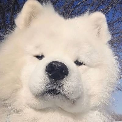 Pongrungsr99568's profile picture. 