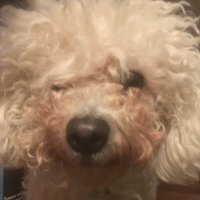 Simon Simone (@simone54700) 's Twitter Profile Photo Simon Simone (@simone54700) 's Twitter Profile Photo