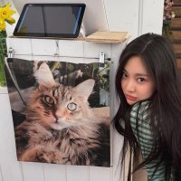 ˖ ִֶָ𐀔 beyiena (@glossyeci) 's Twitter Profile Photo ˖ ִֶָ𐀔 beyiena (@glossyeci) 's Twitter Profile Photo
