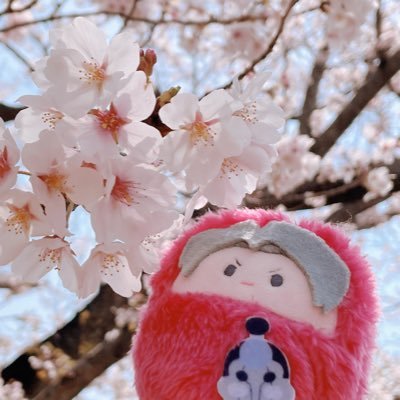 かゆ@インプット中さんのプロフィール画像