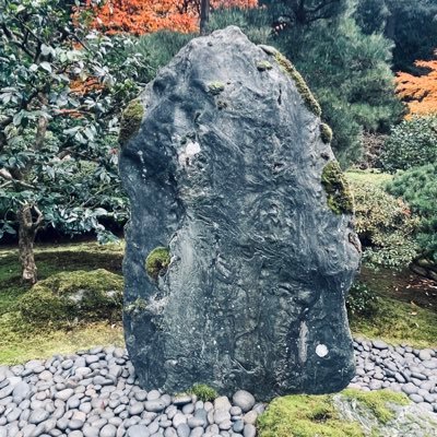 salidin327's profile picture. 