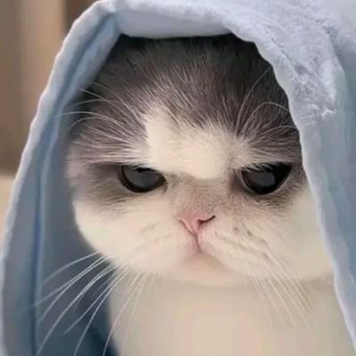 eurluve's profile picture. 