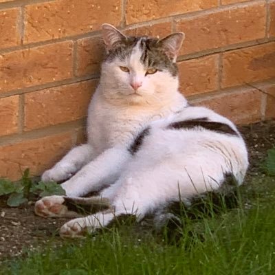 averageeee37's profile picture. cold