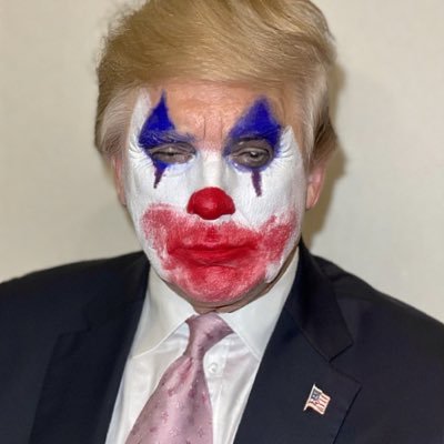 True American Neither left nor right wing. Trump is an idiot who needs to be dethroned. ICE is an embarrassment to the usa