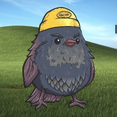 ArcohMG's profile picture. birb man