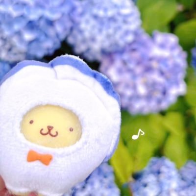 aaa_1015_yyy's profile picture. ポムポムプリン🍮🩷